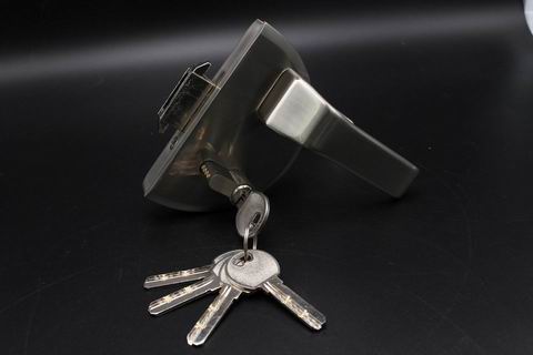 swing Glass Door Locks